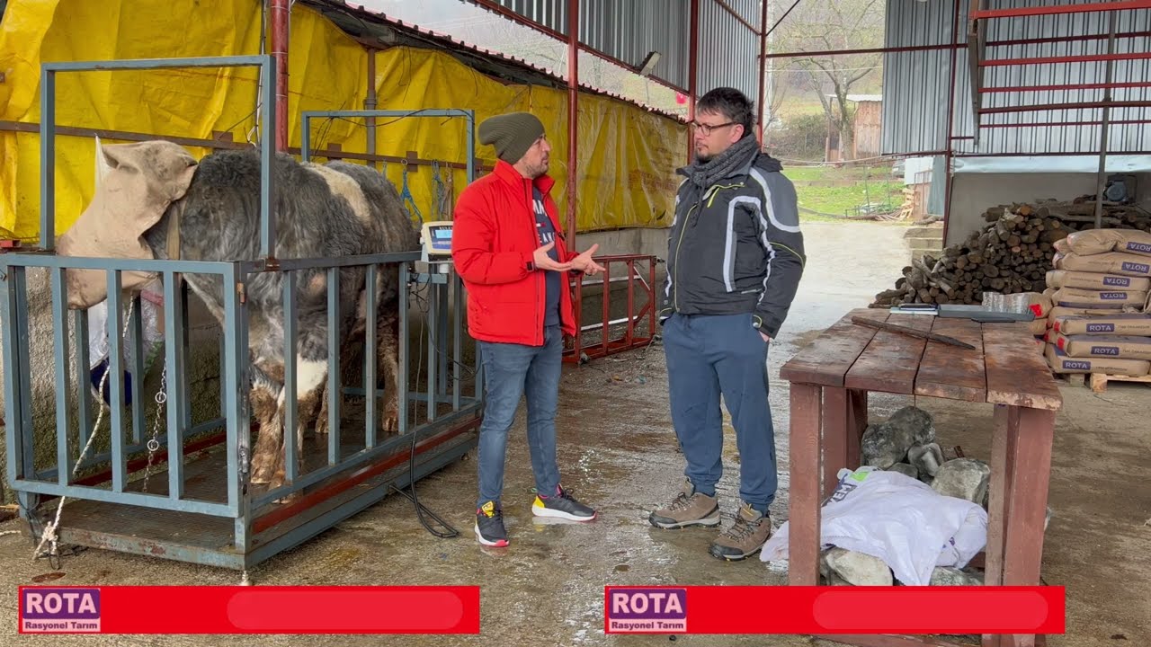 ARPA FLAKE - ROTA BESİ YEMİ - SAMAN RASYONU