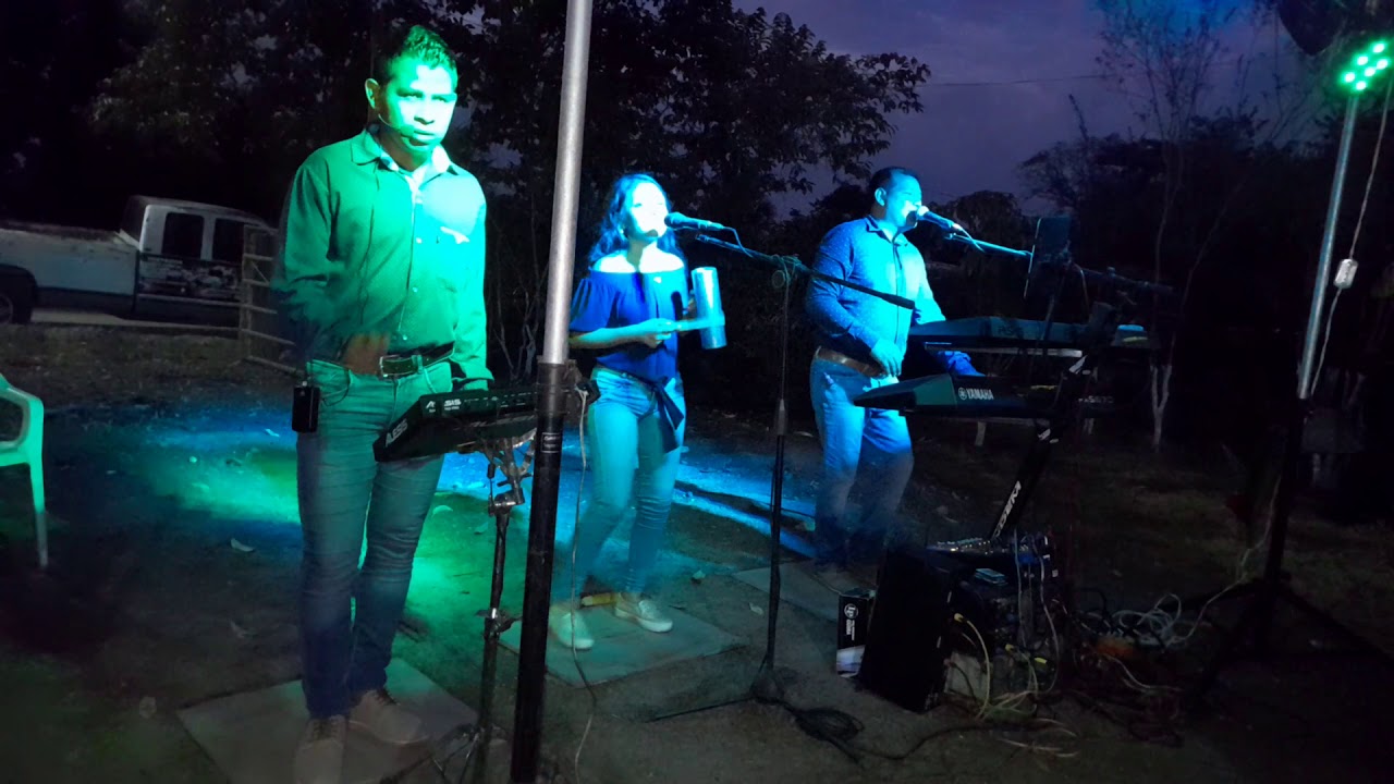 juguito de piña, oso Polar conozco una negra. grupo  kompacto 962 168 2015