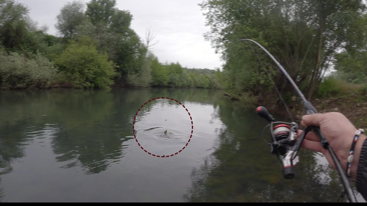 Pesca de truchas en los primeros días de la temporada 2024