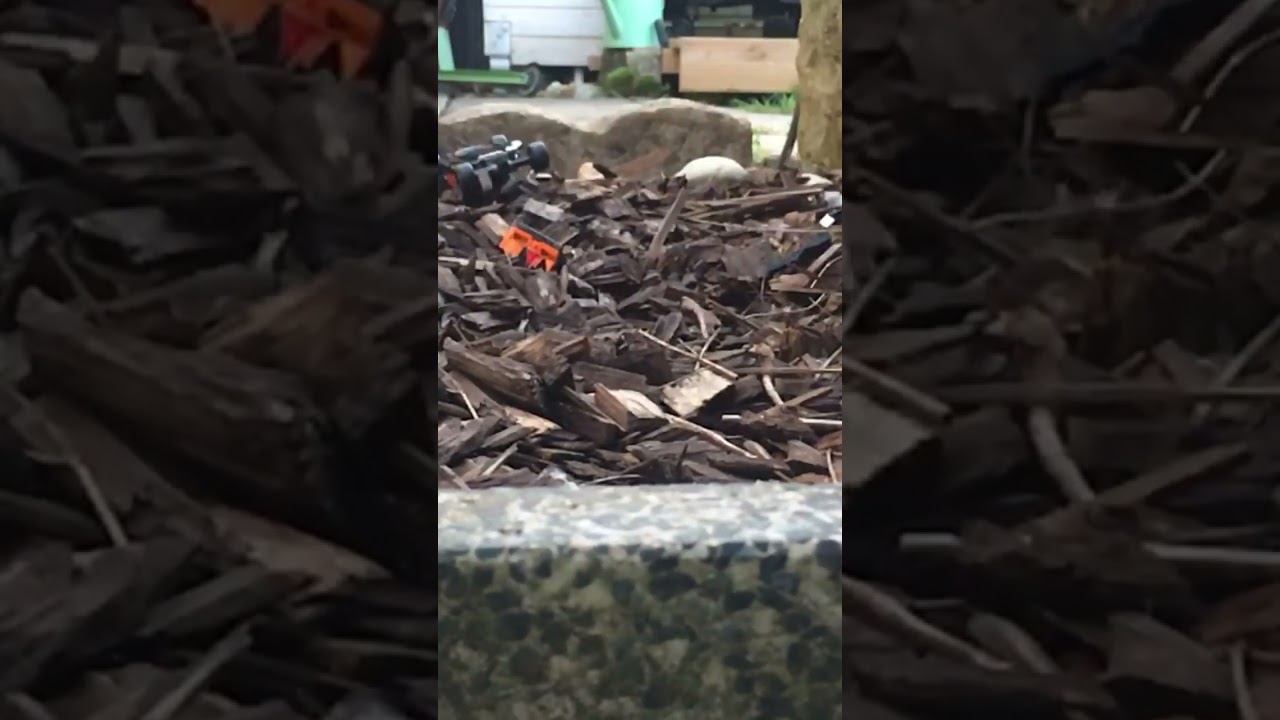 Slow motion crash 
