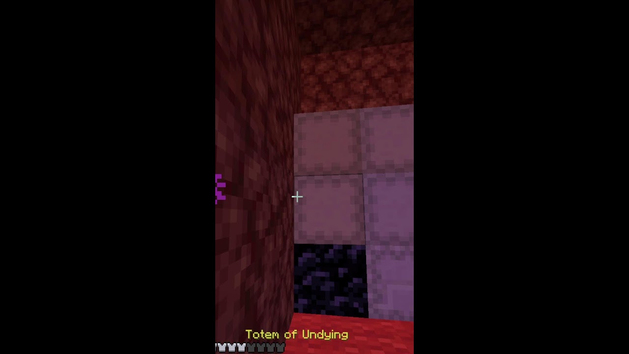 can i get rich on the dountsmp pt 2 (Portrait)