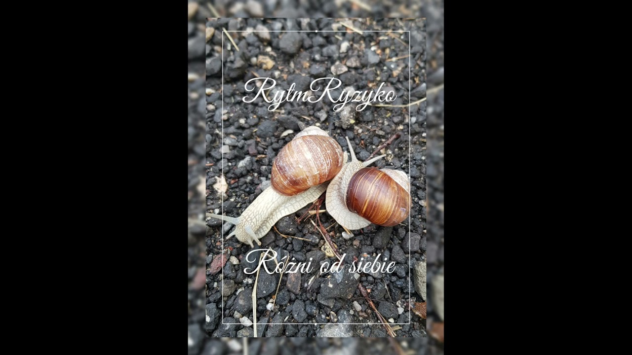 RytmRyzyko - Różni od siebie