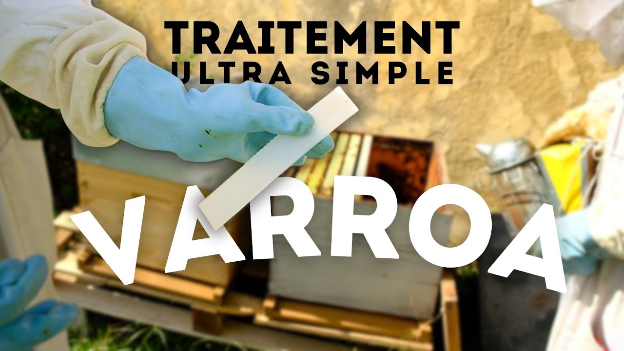 Traitement varroa pas cher et ultra efficace – La technique que j’utilise