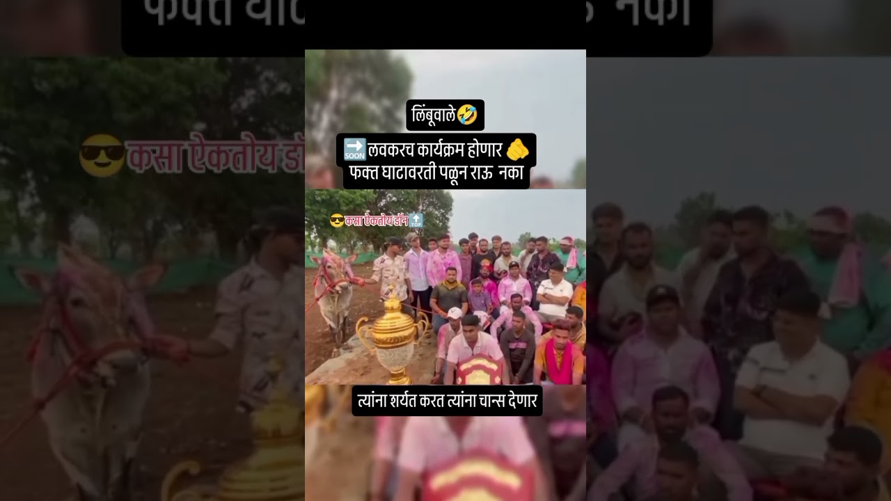 Bhunga Don 👿👿#bailgadapremi #bailgadasharyat #short #bhunga