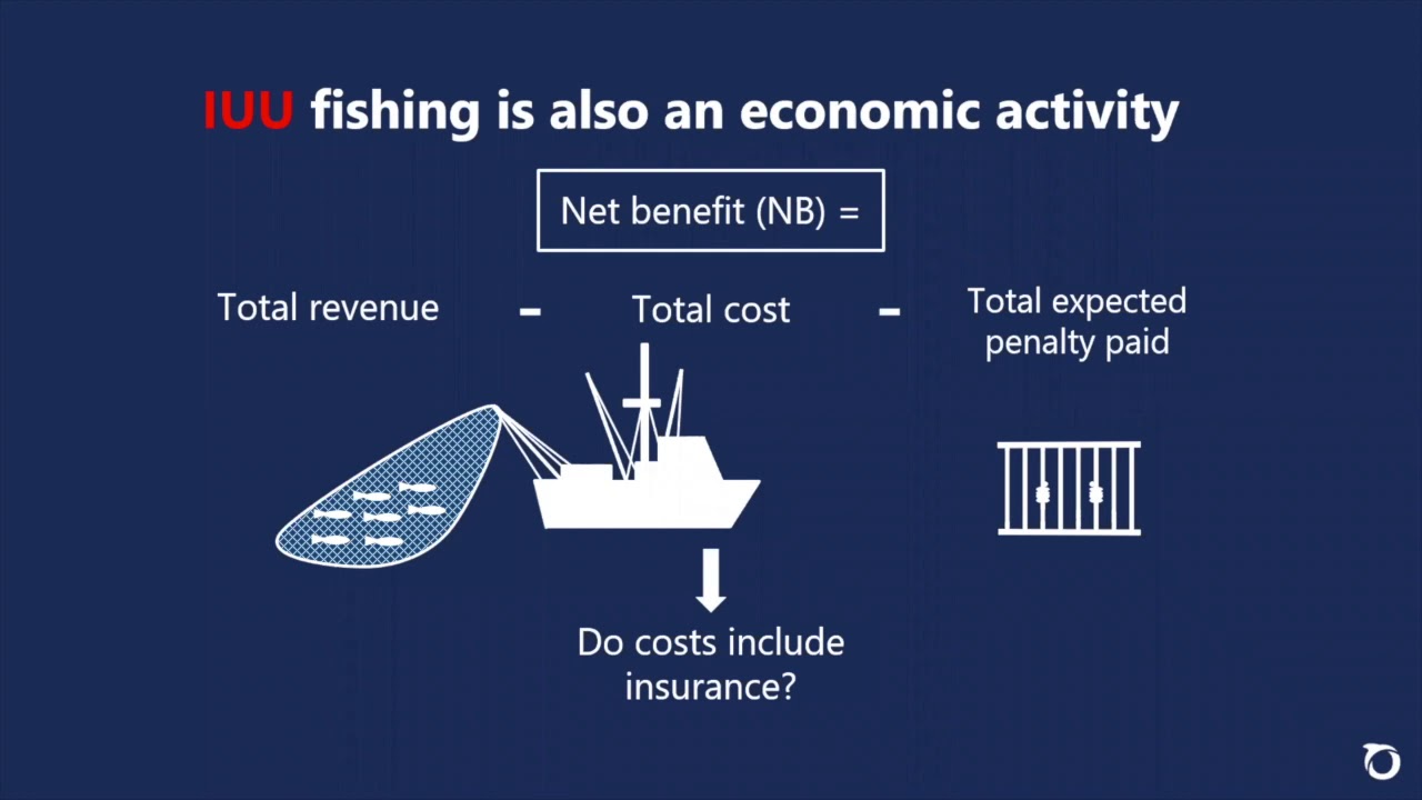 Fighting IUU fishing through improving corporate due diligence