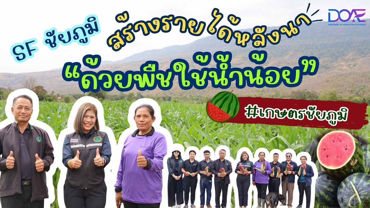เกษตรก้าวหน้า 8 Smart Farmer ชัยภูมิ ปรับเปลี่ยนนาปรังเป็นพืชใช้น้ำน้อย สร้างรายได้ 4 แสนบาทต่อปี