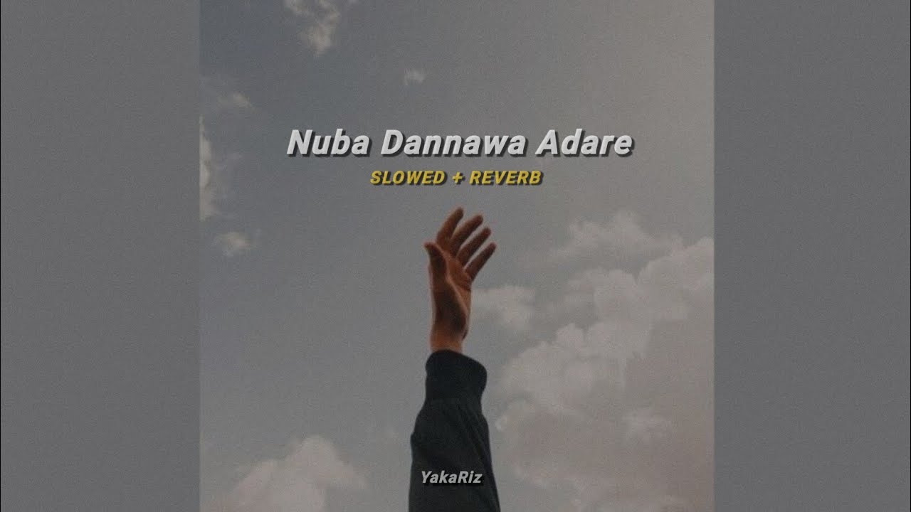 Dannawa Adare - දන්නවා ආදරේ (slowed + reverb)