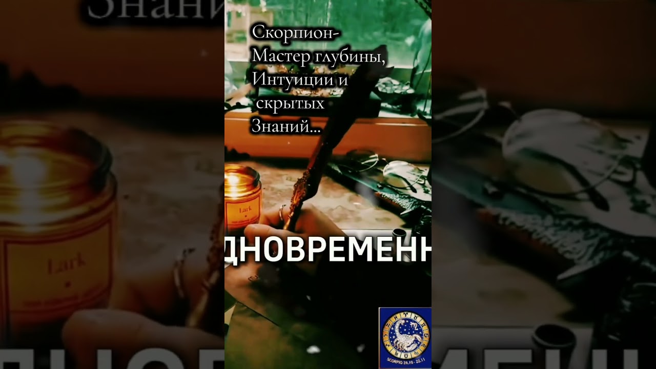 СКОРПИОН МОЖЕТ БЫТЬ АБСОЛЮТНО ВЕРНЫМ? 
