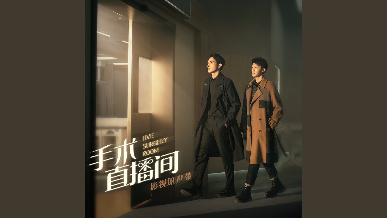 共存 (电视剧《手术直播间》插曲)