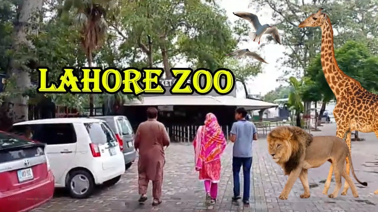Lahore Zoo Family Vlog 🐘 | Celebrating Moosa’s Result with Lions, Tigers & Fun | #LahoreZoo #zoovlog