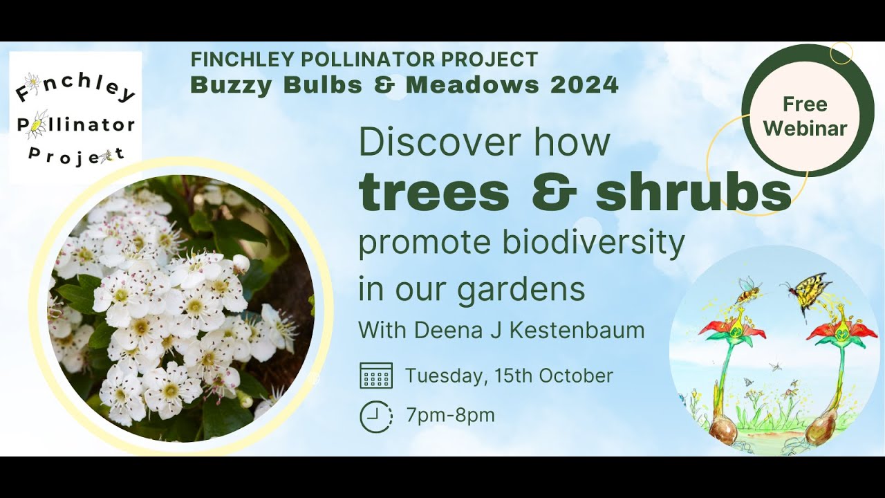 Winter-flowering pollinator-friendly trees & shrubs