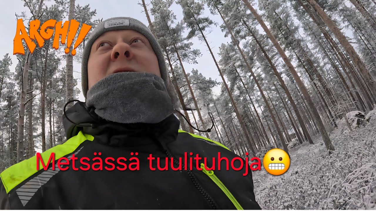 @Juhamonitoimimies Hannes myrskyn tuhoja katsomassa. 