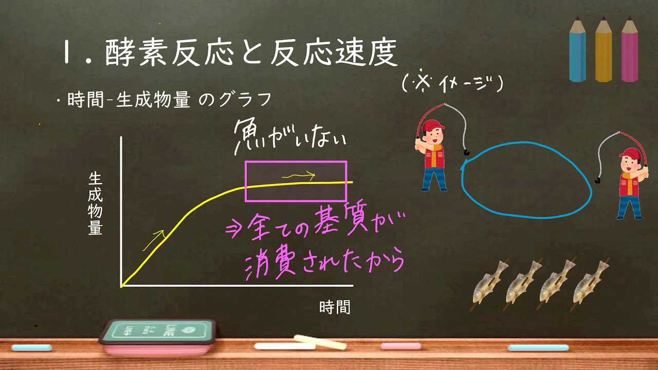 おうち生物 3.酵素（グラフ編）高校生物