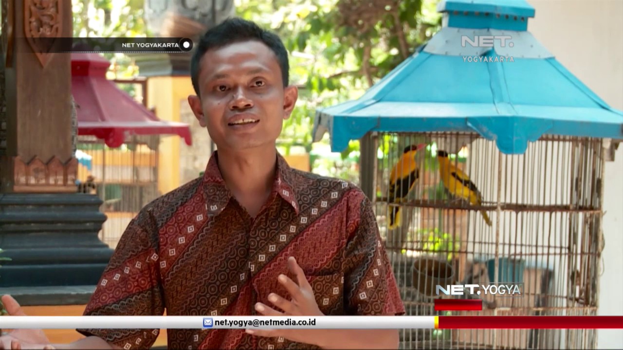 NET YOGYA - Kampung Penangkar Burung Desa Wukirsari Bantul