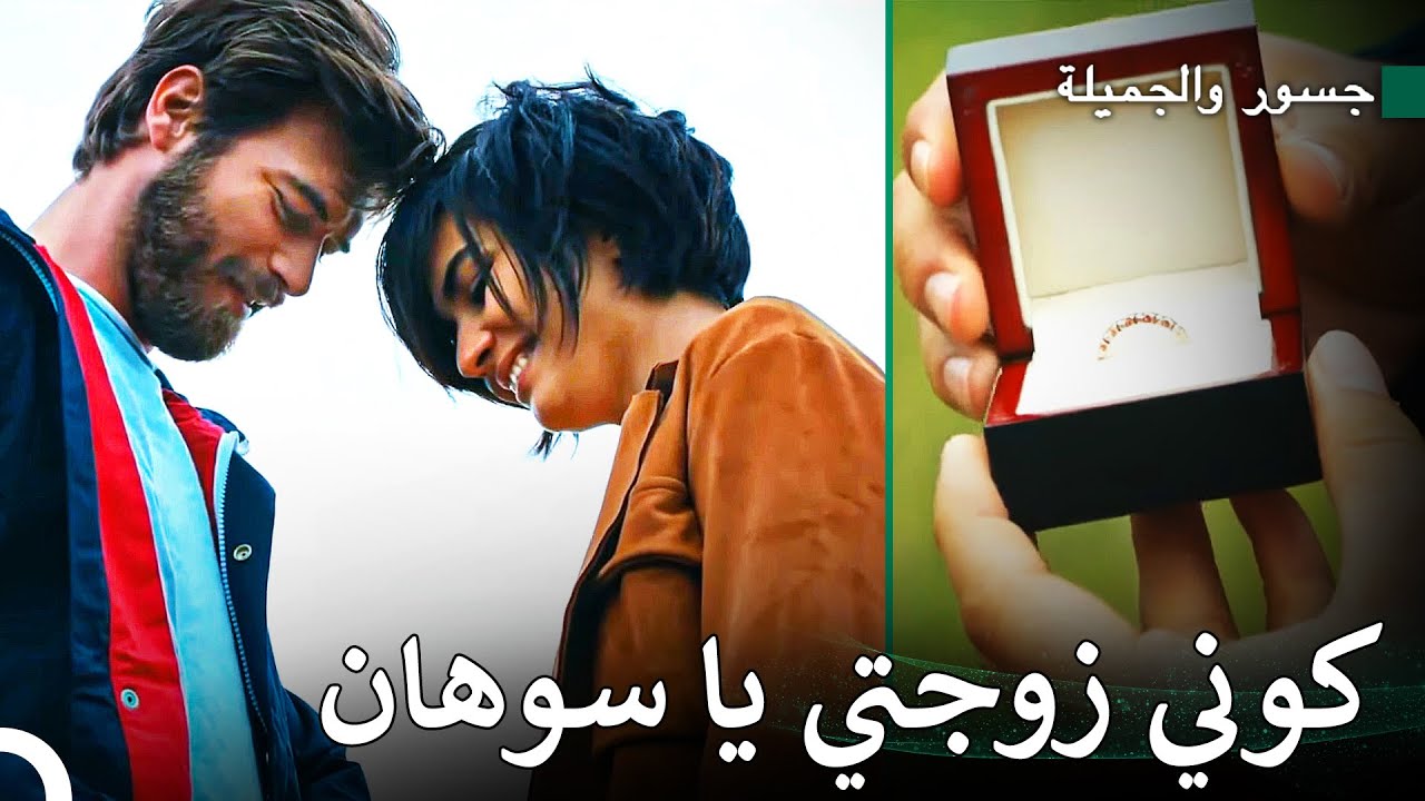 اقتراح زواج من جسور إلى سوهان بالأقحوانات الصفراء - جسور والجميلة