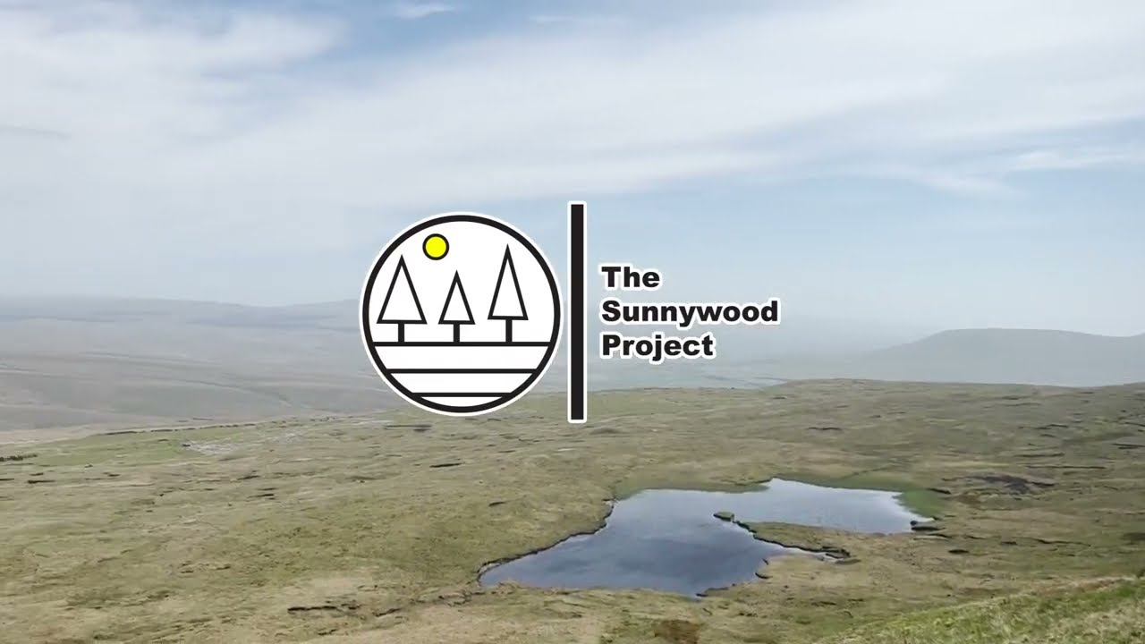 What is The Sunnywood Project?