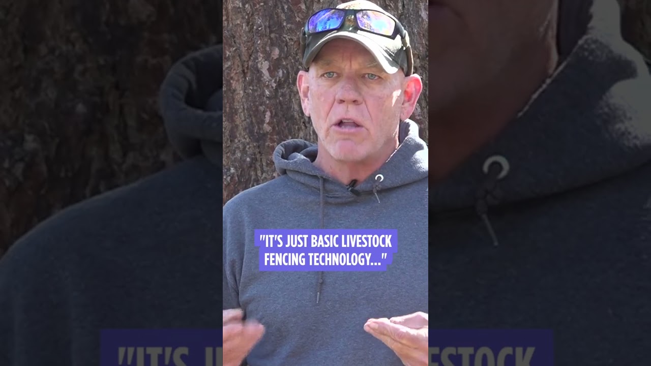 🐻 How electric doormats help stop bear intrusions 