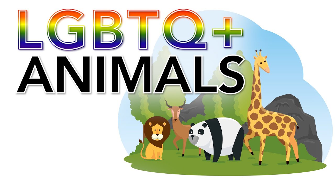 How Many Animals Are LGBTQ?