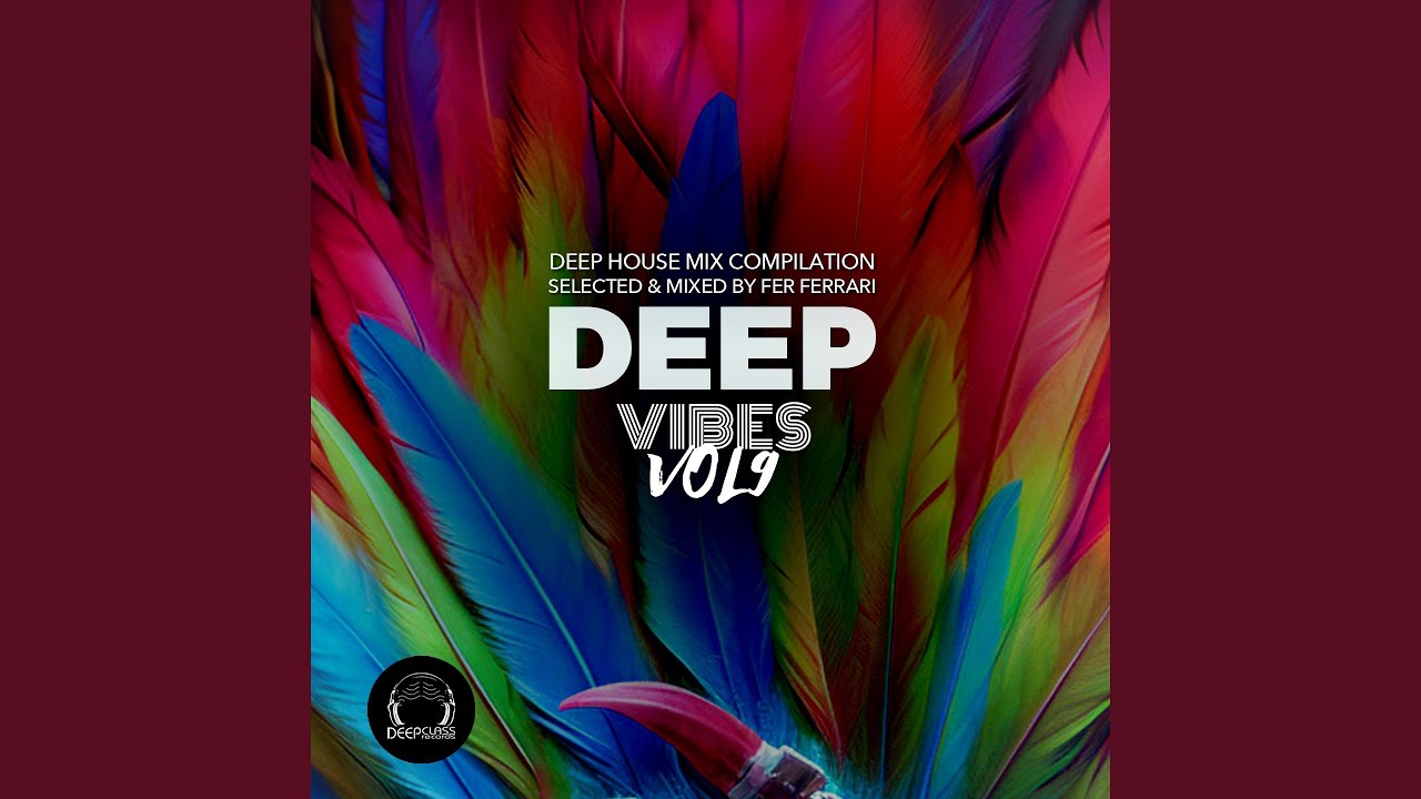 Deep Vibes 9 (Continuous DJ Mix)