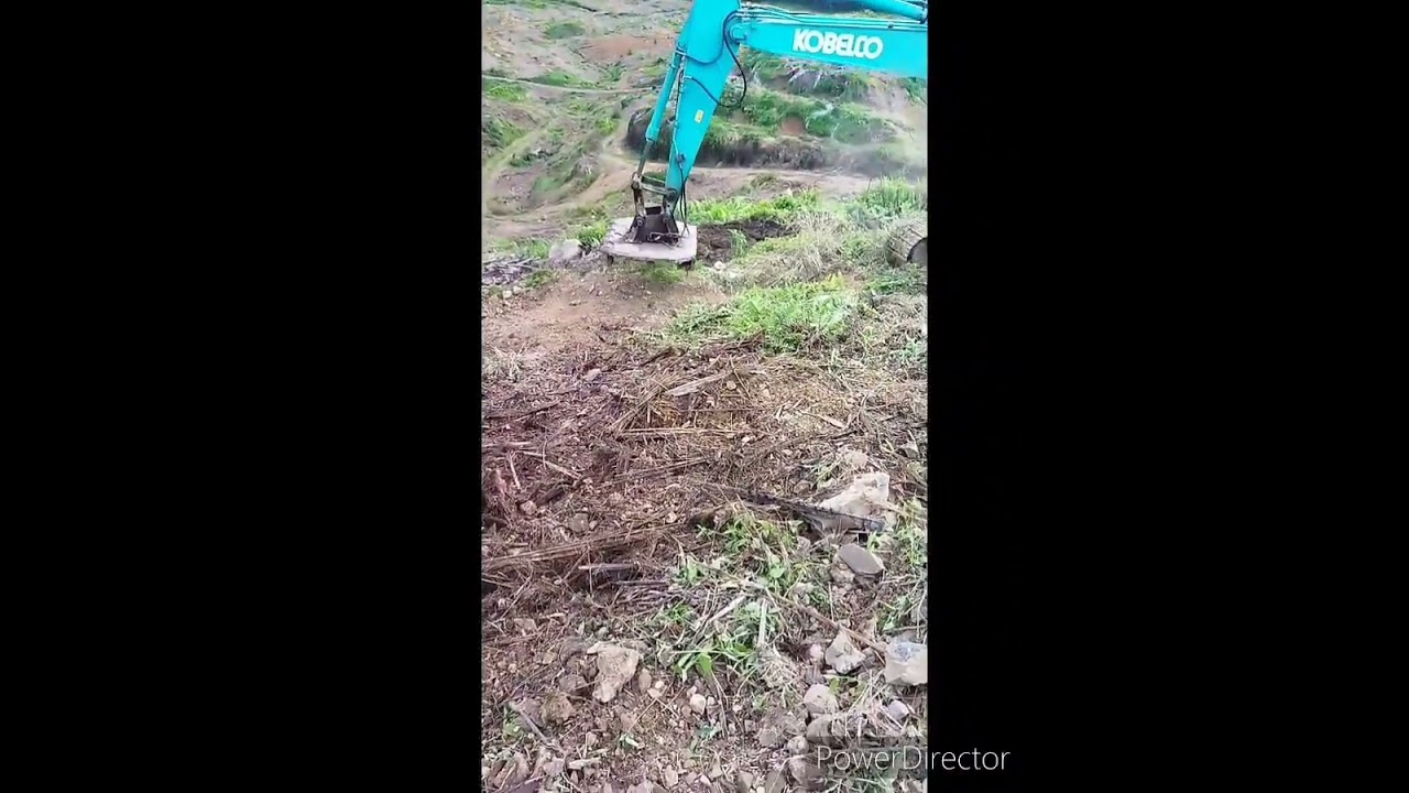 Pulverise (Replanting Progress) #agriculture #planting #plantation #oilpalm