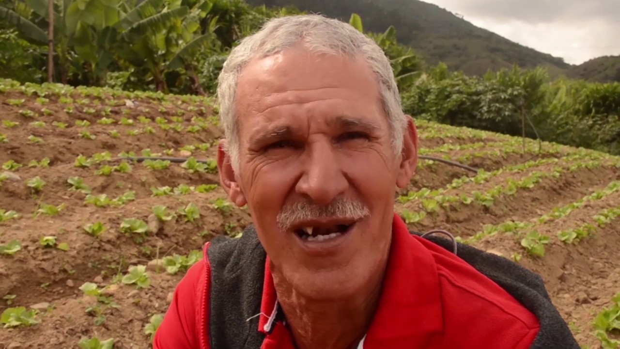 MERCA SANTO DOMINGO DOCUMENTAL