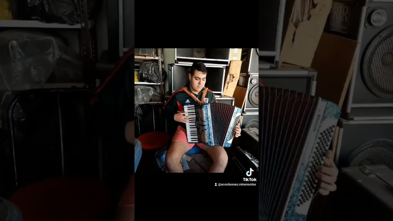 RESTAURACION ACORDEON MAESTROPIANO