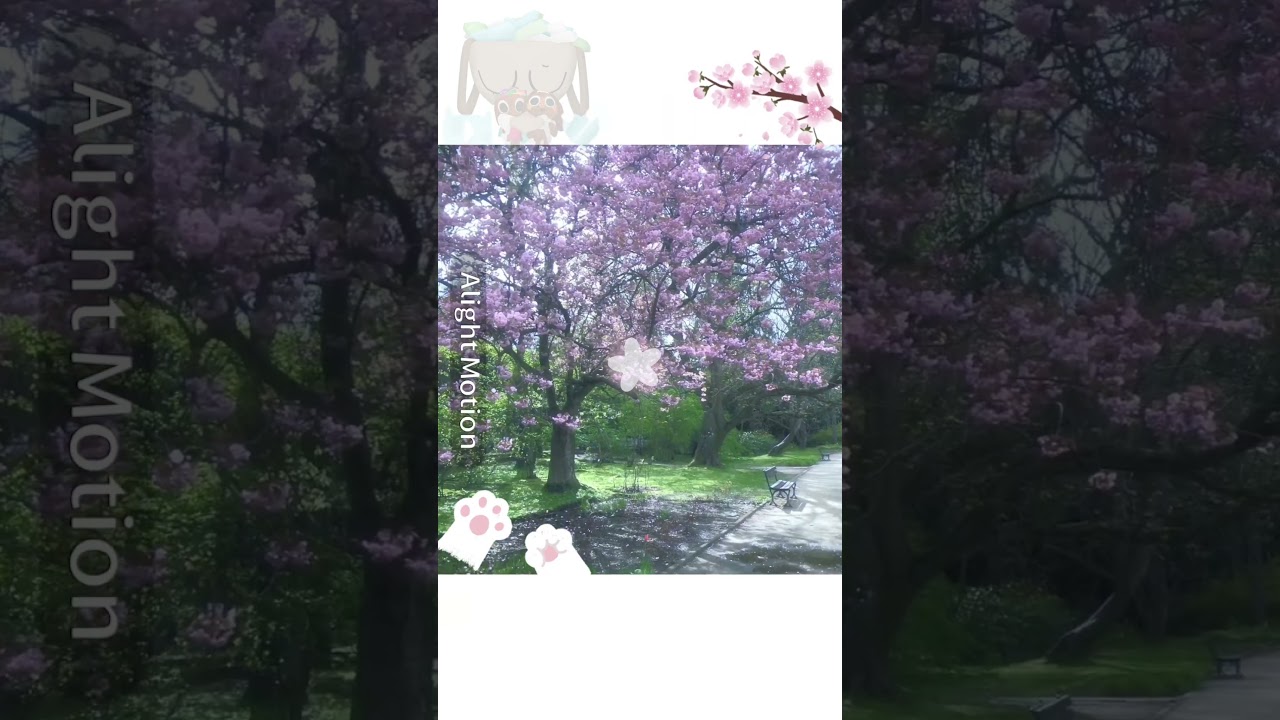 -Пипиещенс. 🌝 #dandysworld #roblox #залити #пжврек