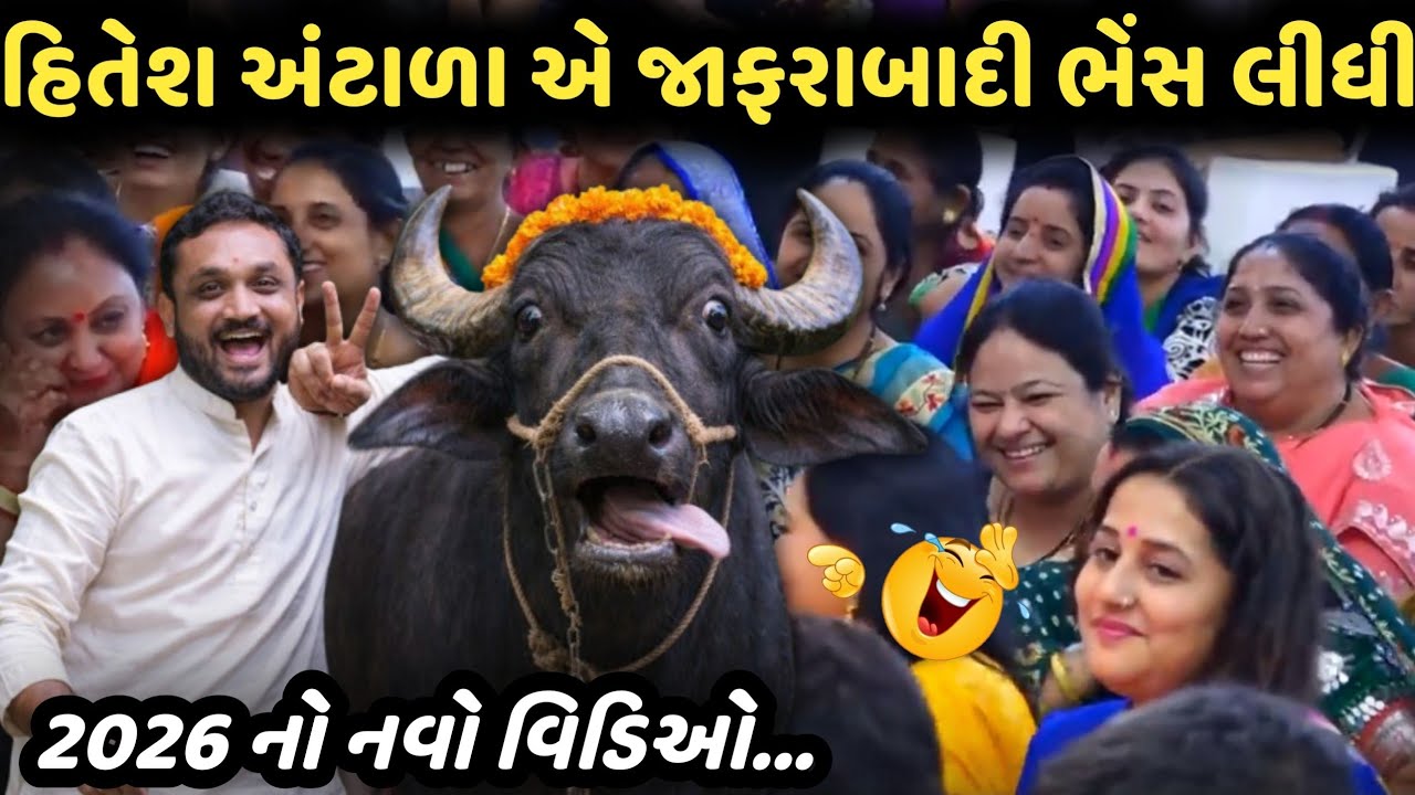 હિતેશ અંટાડા એ જાફરાબાદી ભેંસ લીધી | Hitesh Antala | New Comedy Jokes 2026 | Bansri Music 