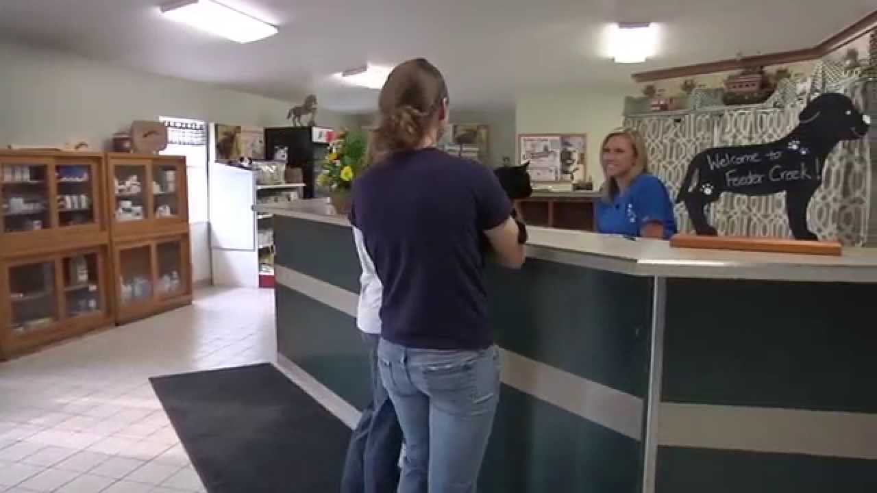 Feeder Creek Veterinary Service - Short | Millersport, OH