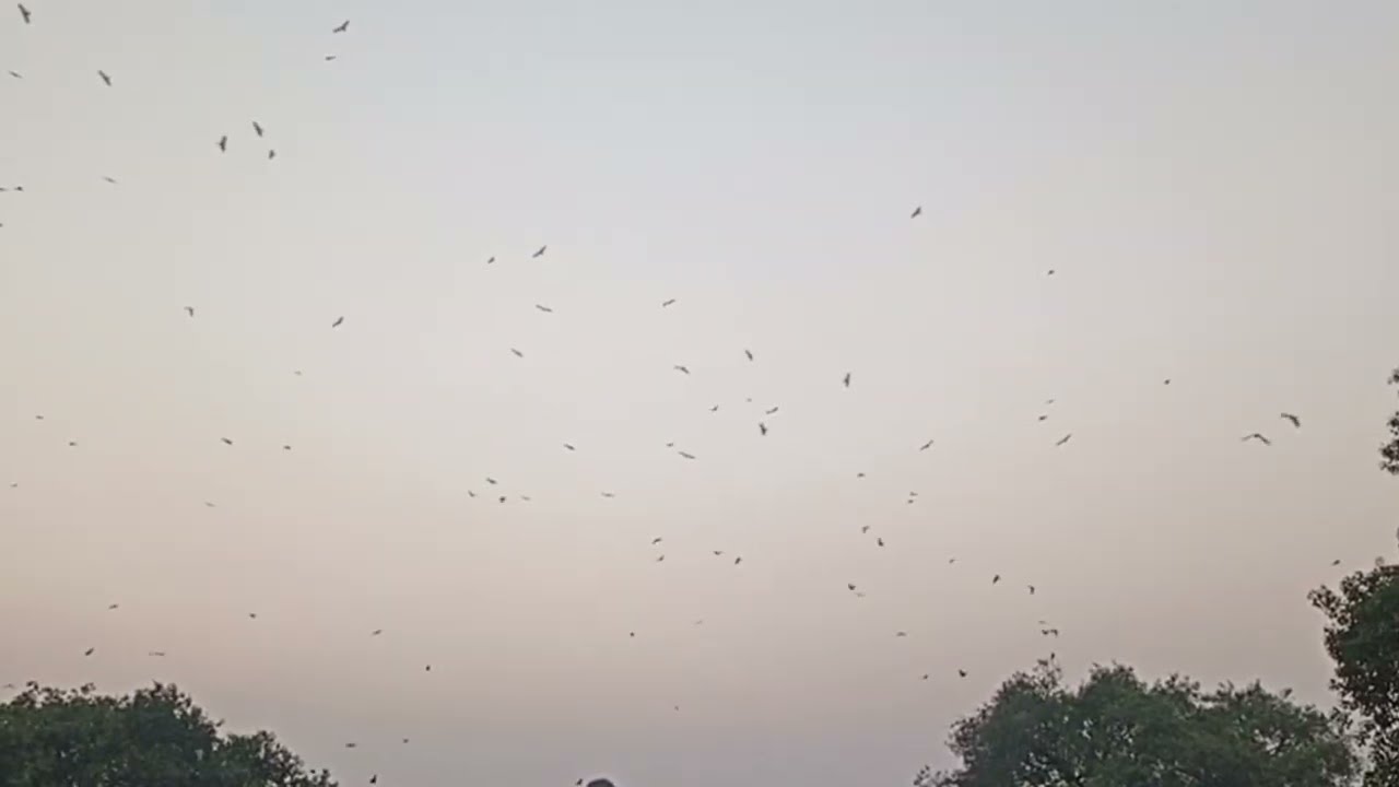 September 30, 2025Bhadar Gang inExploring Lahore Fort (Shahi qila lahore