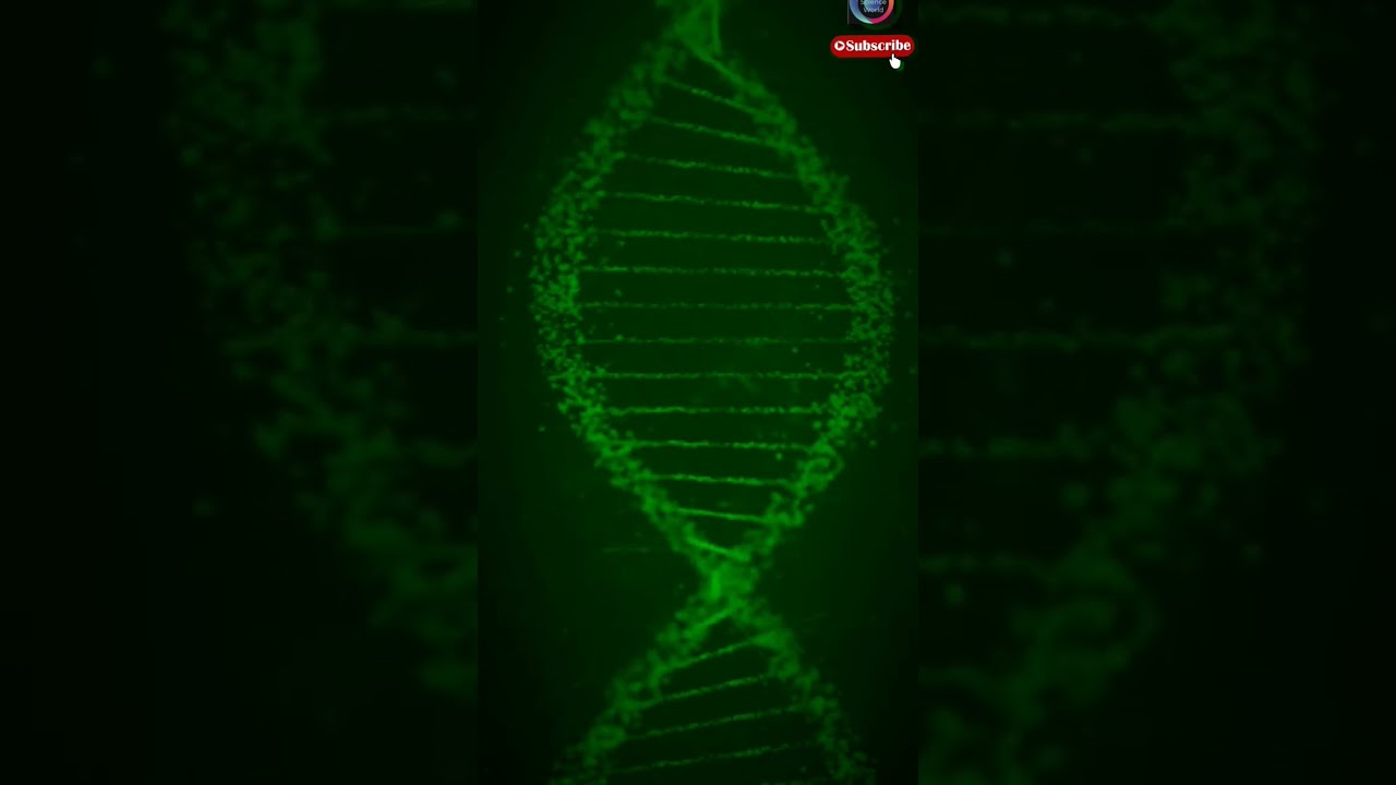 Rotating DNA double helix.Abstract rotation of dna#dna #diuble helix#science