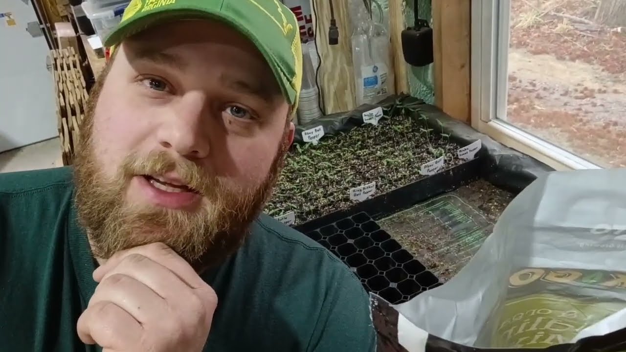 How We Grow Produce, Step 2: Starting Seeds In A Germination Chamber