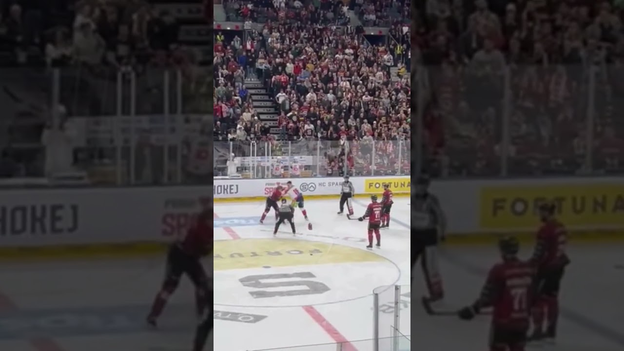 #sparta M. Forman vs M. Houdek #dynamo #pardubice #hockey #fight 15.11.2024