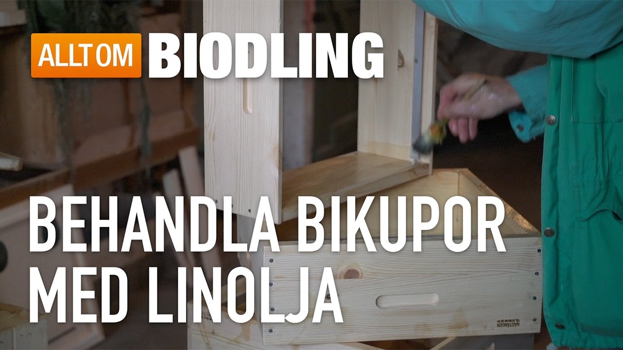 Behandla bikupor med linolja - Biredskap - Biodling