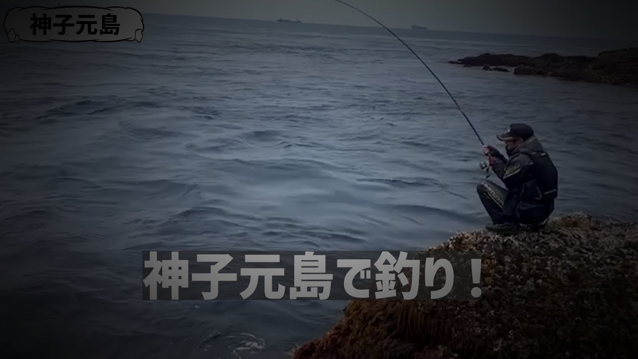 静岡県神子元島に行く！［2025年5月］