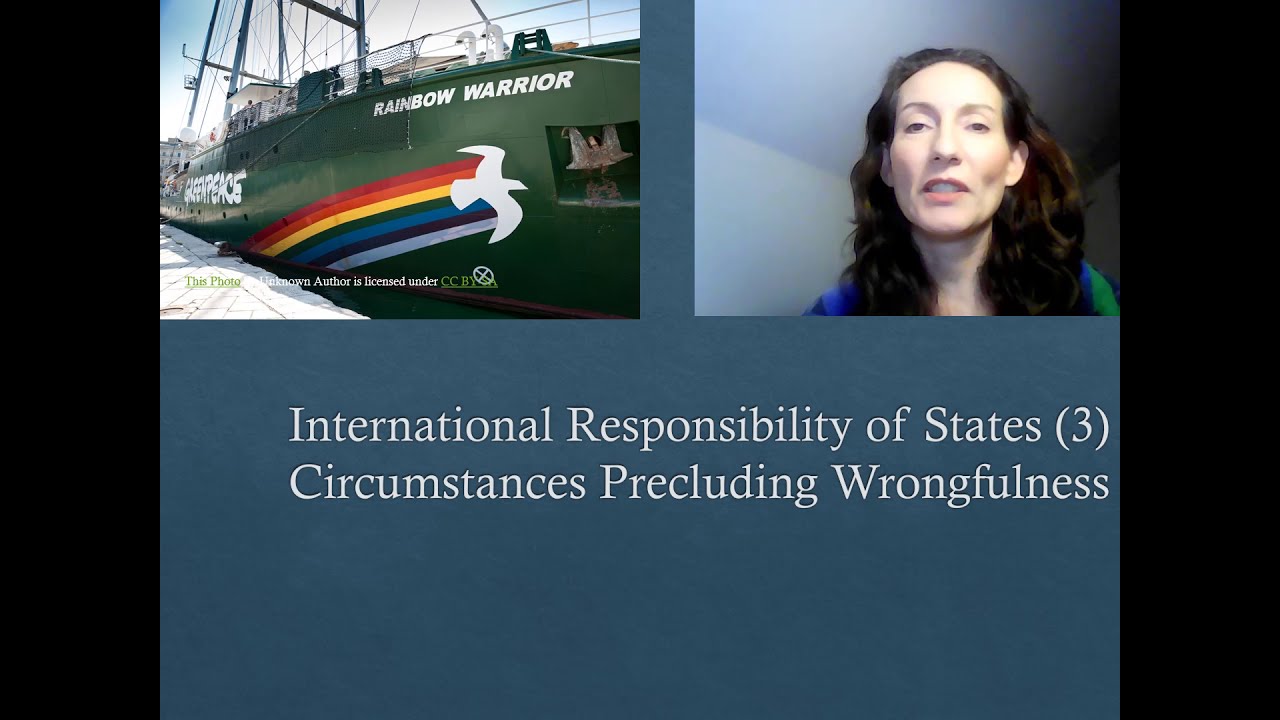 23. International Law Course. State responsibility (3) Circumstances Precluding Wrongfulness
