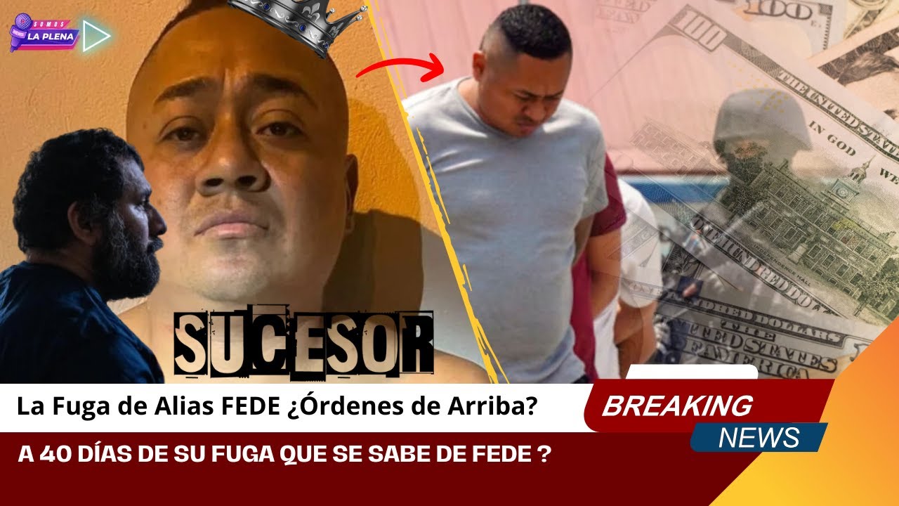 La Fuga de Alias FEDE ¿Órdenes de Arriba? A 40 días de su fuga que se sabe de FEDE