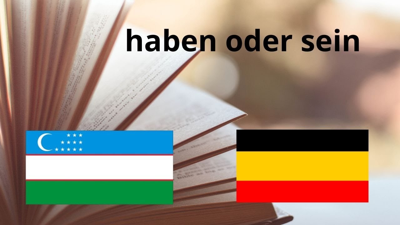 Haben va sein fe'llari