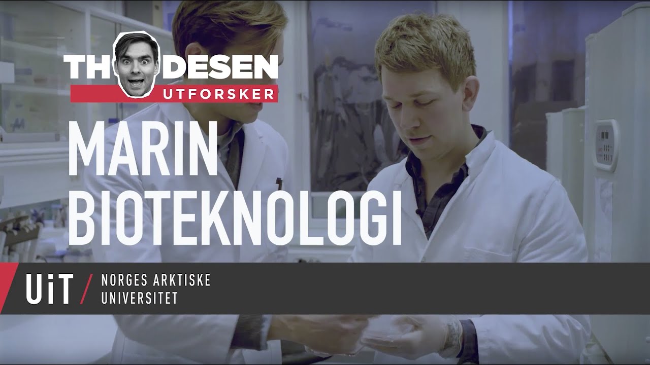 Thodesen utforsker Marin Bioteknologi ved UiT – Norges arktiske universitet