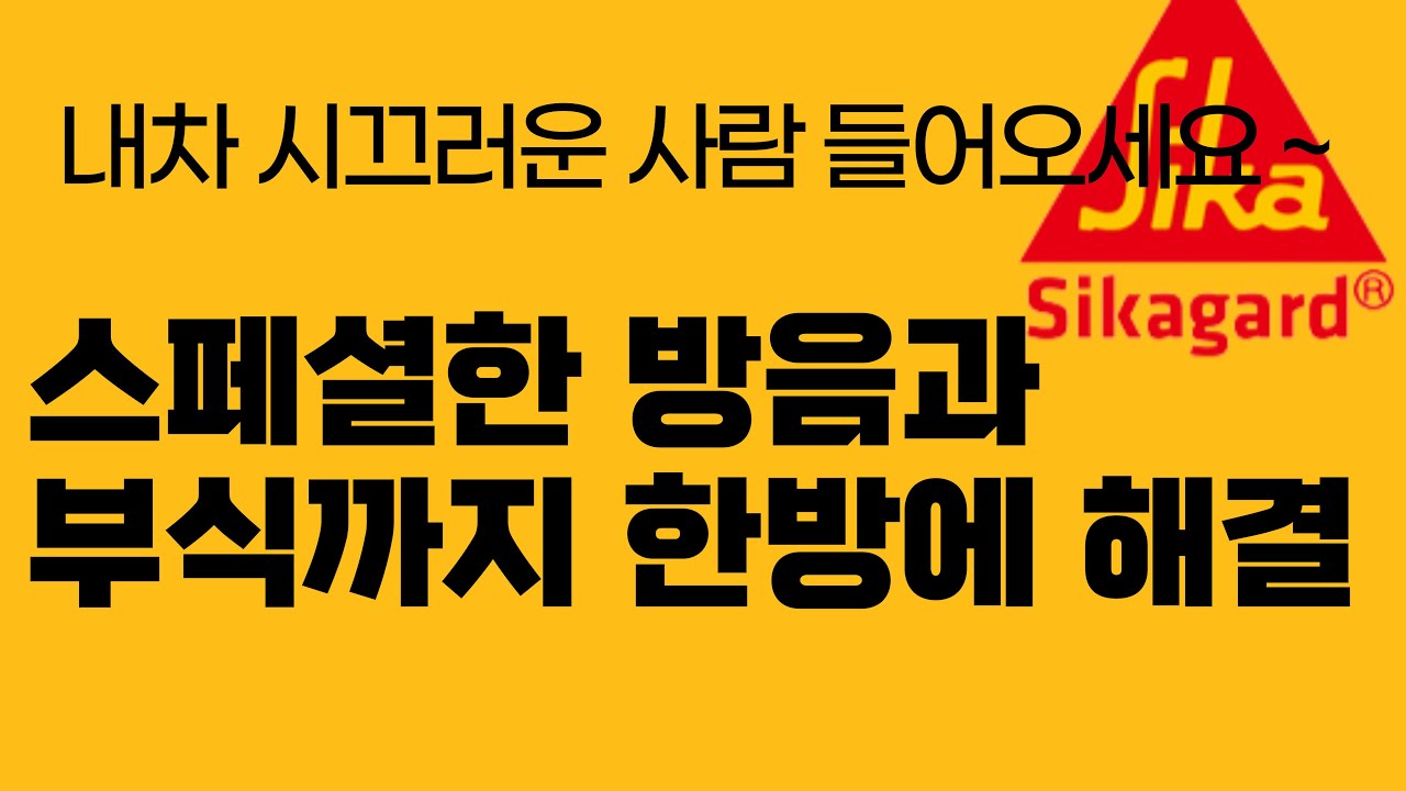 🔇 “이게 진짜 프리미엄 방음” 쏘나타 소음차단 끝판왕 시공 공개! ㅣ씨카MS폴리머 언더코팅