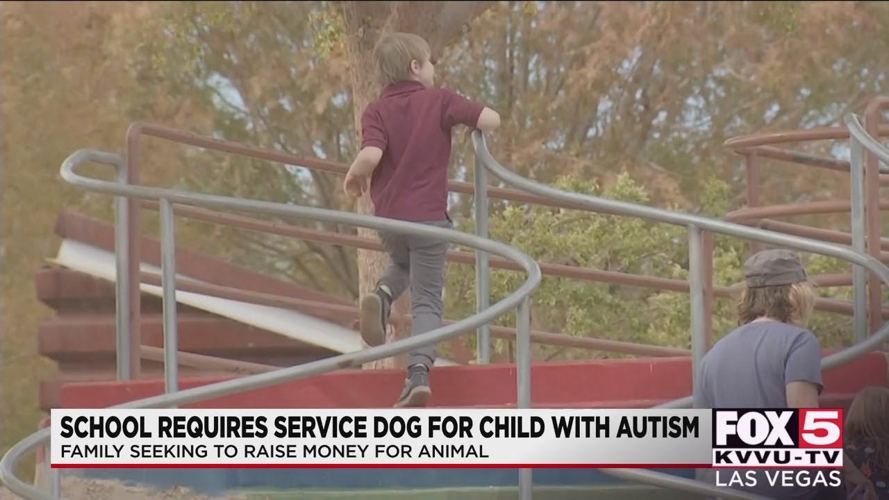 Las Vegas family trying to raise $30,000 to get son with autism a service dog