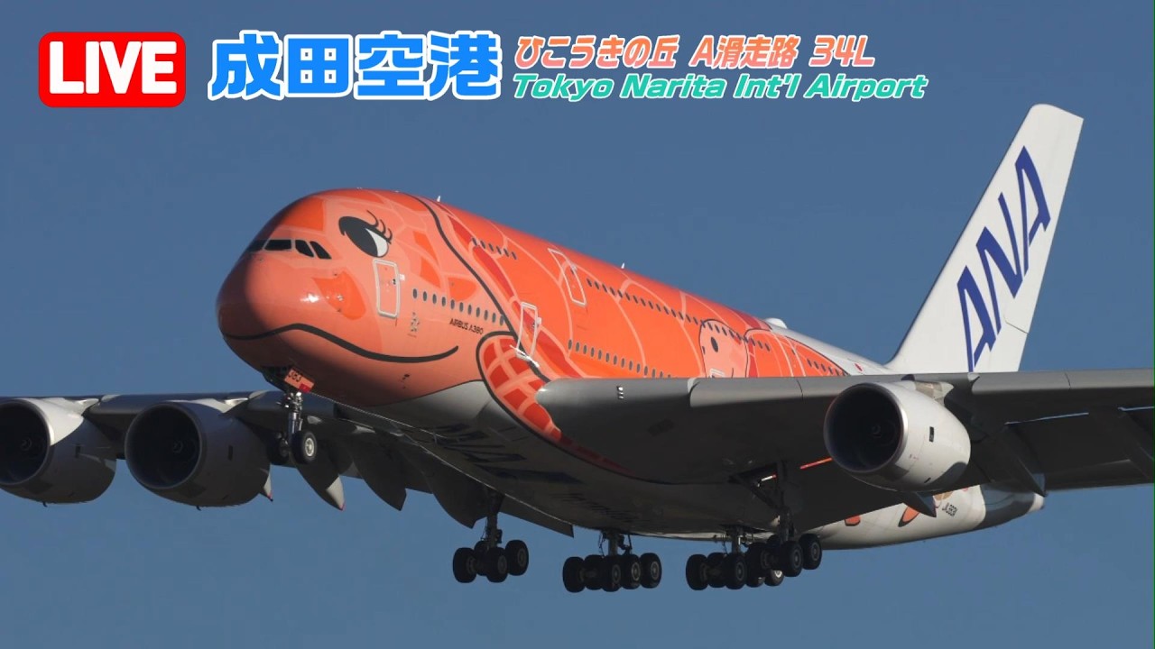 【LIVE】2026/03/15 Tokyo NARITA Int'l Airport Plane Spotting 成田空港ライブカメ