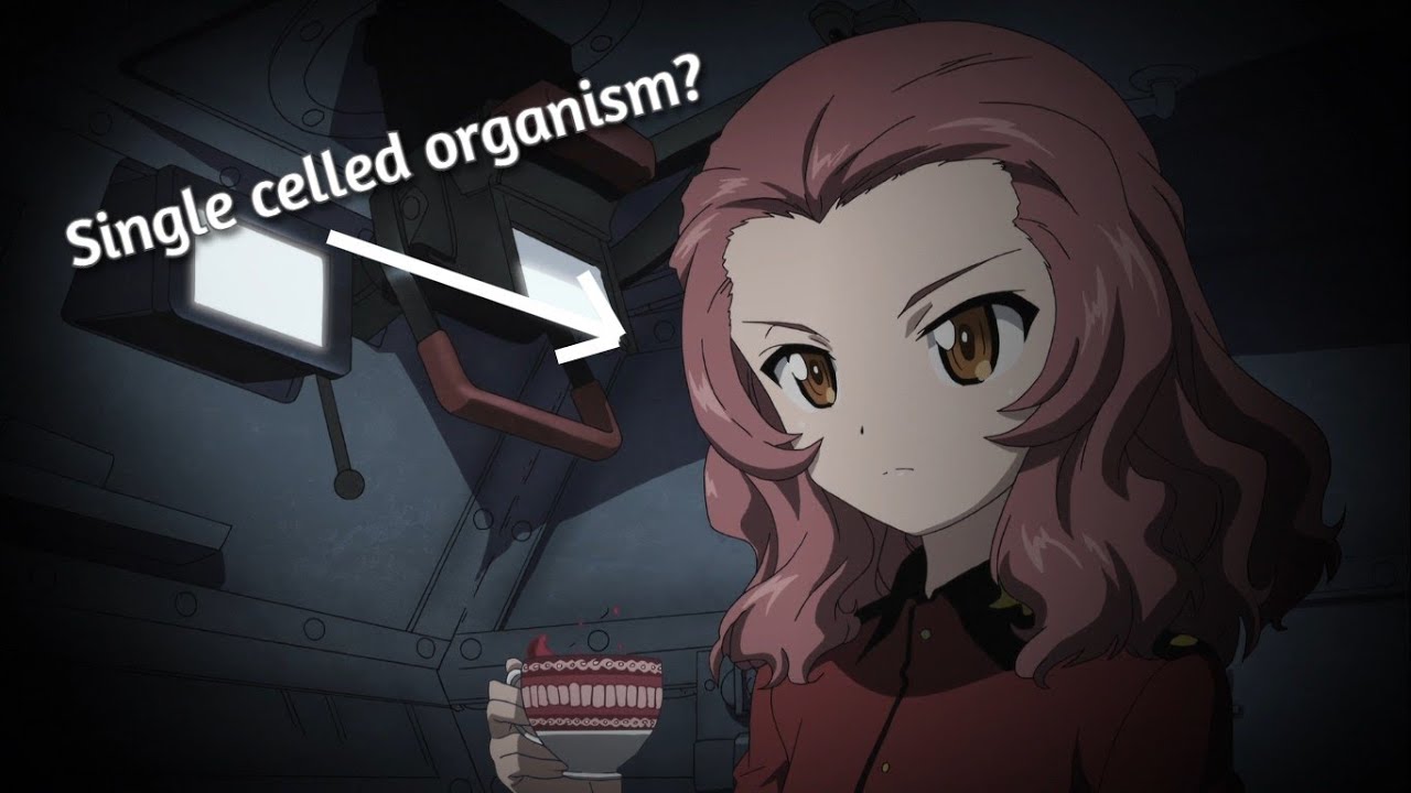 Inside the Mind of Rosehip - Girls und Panzer DTM