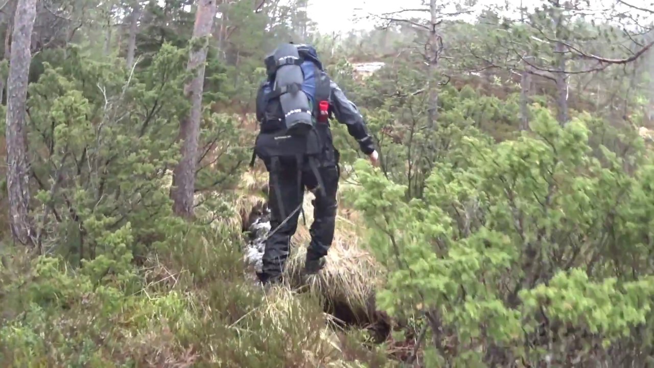 Sk&aring;pet - Fl&oslash;rli trip