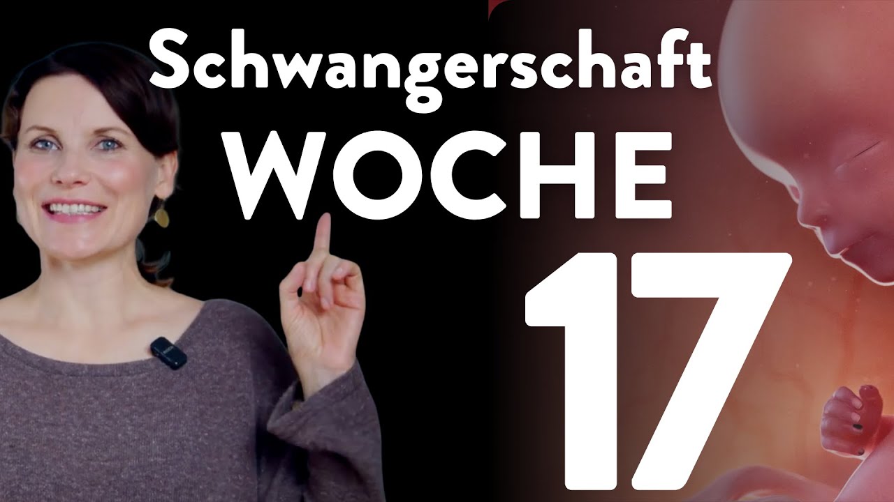 Die 17. Schwangerschaftswoche| SSW 17 - Schwangerschaftsführer  Woche 17