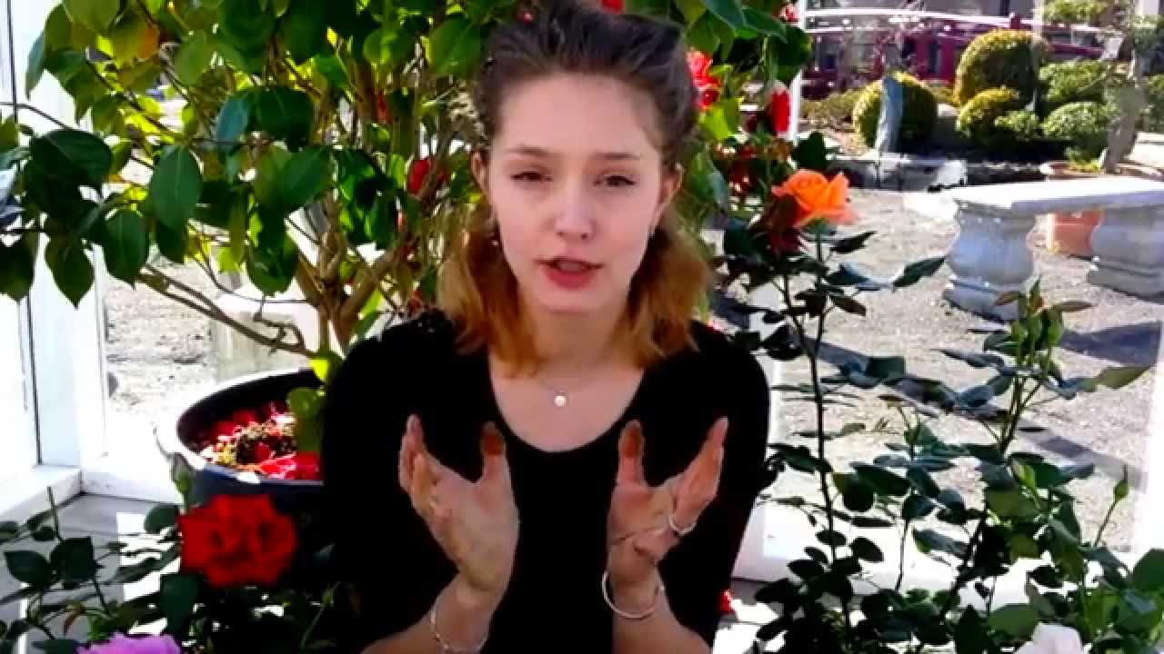 5 tips til flotte roser