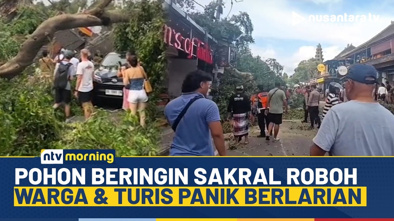 Geger! Pohon Beringin Sakral Tiba-tiba Tumbang Timpa Restoran hingga Kendaraan di Bali | NTV MORNING