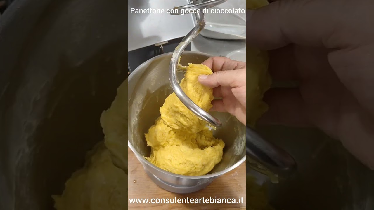 ricetta panettone con planetaria e forno di casa