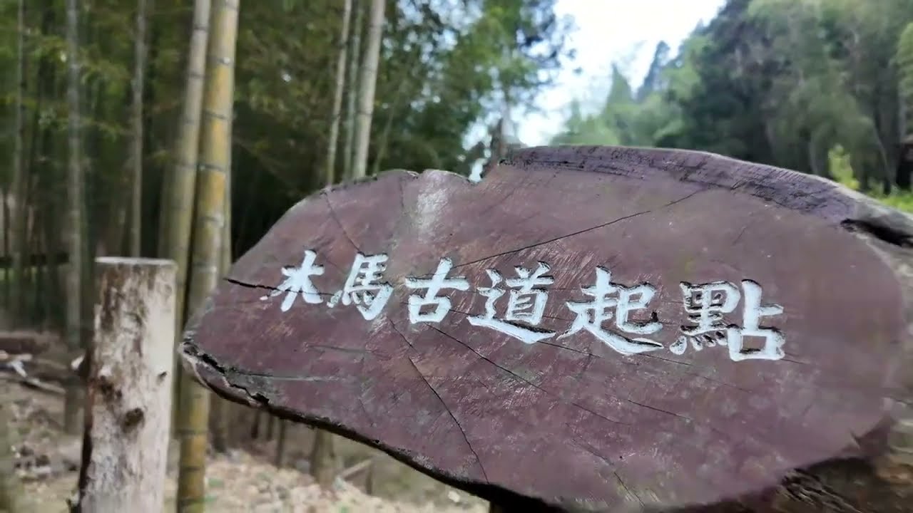 探台版臥虎藏龍竹林祕境直播  雲林草嶺 木馬古道