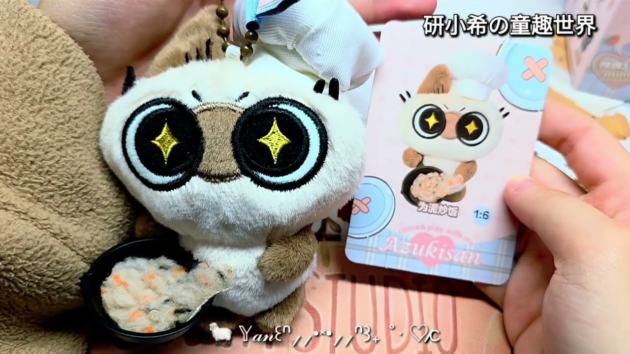 研小希開盲盒。暹羅貓小豆泥日常系列😻😻😻
